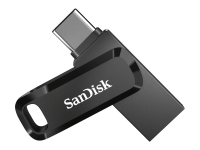 Ultra Dual Drive Go 256 GB