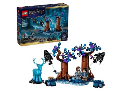 76475 Harry Potter Verbotener Wald: Expecto