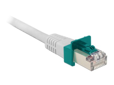 DeLOCK Secure Clip set - LAN