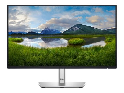 Dell 61.0cm (24") P2425HE
