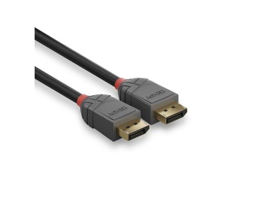 LINDY DisplayPort 1.2 Kabel, Anthra