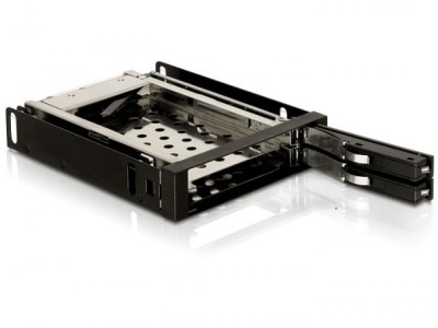 DELOCK Wechselrahmen 2x 2,5" SATA
