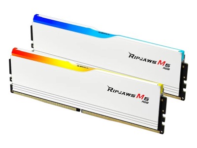 DDR5 32GB PC 6000 CL36 G