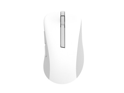ASUS MD102 Maus wireless 1600dpi weiß