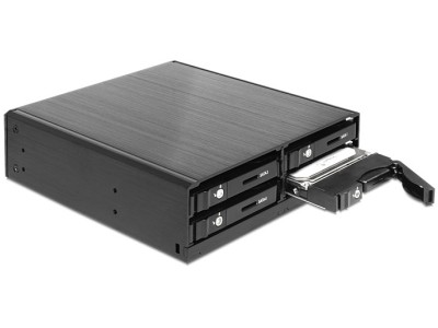 DELOCK Wechselrahmen 4x 2,5" SATA