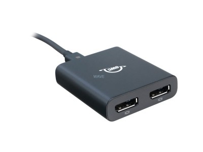Thunderbolt 3/2x DisplayPort Adapter
