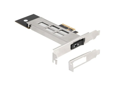 DeLock Wechselrahmen PCI Express Karte für