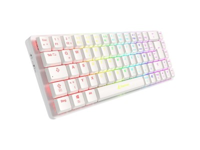 PureWriter W65, Tastatur