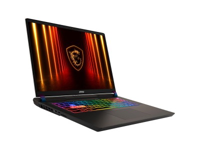 Vector 17 HX AI A2XWJG-039, Gaming-Notebook