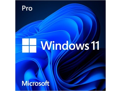Windows 11 Pro, Betriebssystem-Software