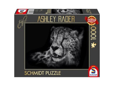 Ashley Rader: Speed - Gepard, Im
