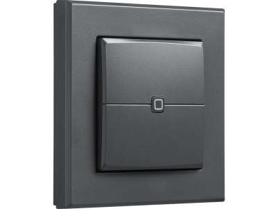 Wandtaster – 2-fach (HmIP-WRC2-A-2), Schalter