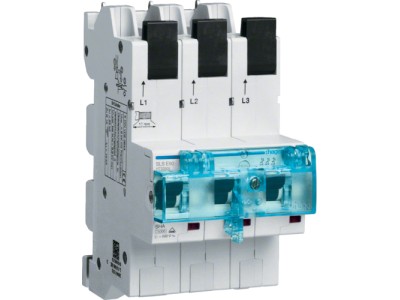 Hager HTS350E. Anzahl der Pole: 3P