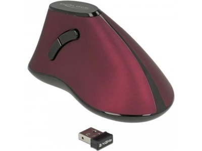DeLOCK - Maus - ergonomisch -