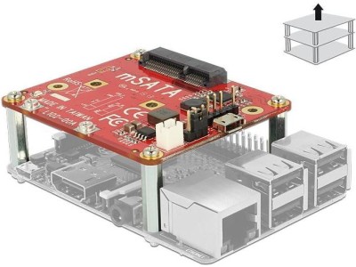 DeLOCK - Speicher-Controller - mSATA (mSATA)