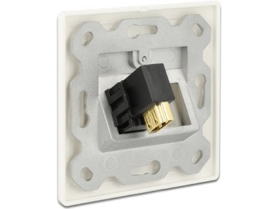 DeLOCK Keystone module - Modularer Einschub