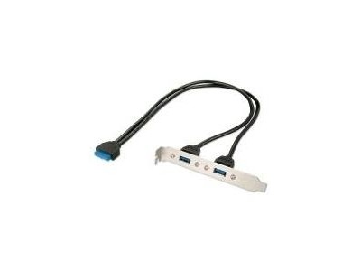 Lindy 2 Port USB3.0 PC