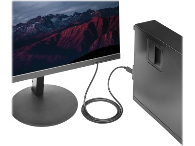StarTech.com DisplayPort auf DVI Kabel