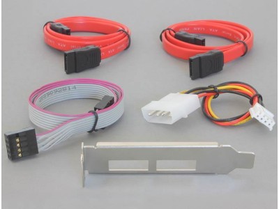 DeLOCK Slot bracket 2x eSATAp 5V/12V