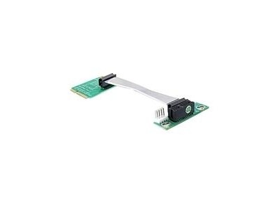 DeLOCK Riser card Mini PCI Express
