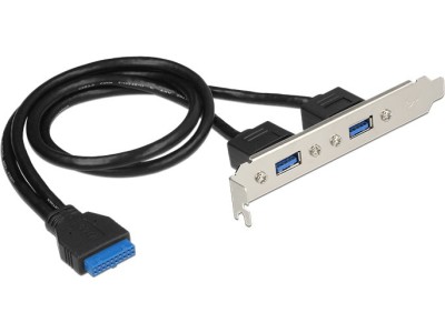 DeLOCK Slot bracket - USB-Konsole -