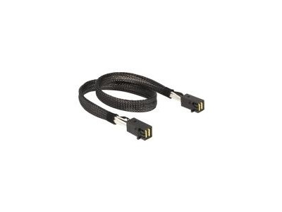 Delock - Internes SAS-Kabel - SAS