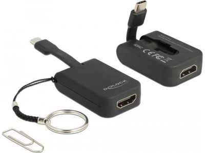 DeLOCK - Externer Videoadapter - RTD2171U