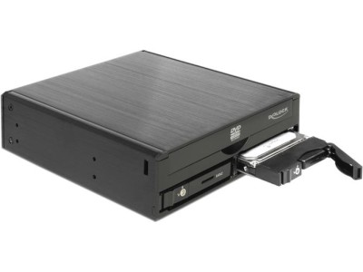 DeLOCK 5.25 Mobile Rack for
