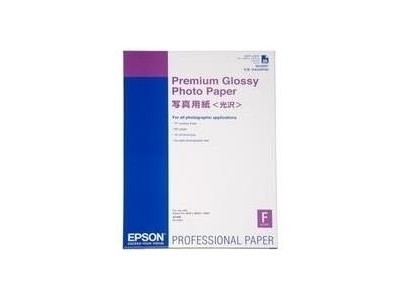 Epson Premium Glossy Photo Paper -