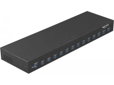 DeLock - Hub - 13 x