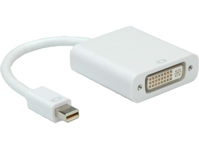 ROLINE Mini DisplayPort-DVI Adapter, Mini DP