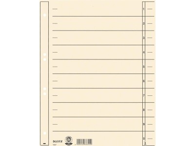 LEITZ Trennblätter, A4 Überbreite, Kraftkarton 200