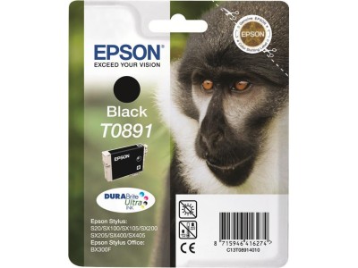 Epson T0891 - Schwarz - Original