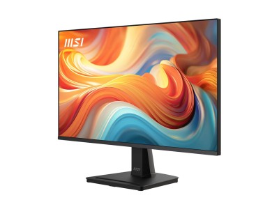 MSI Pro MP251 E14L computer monitor