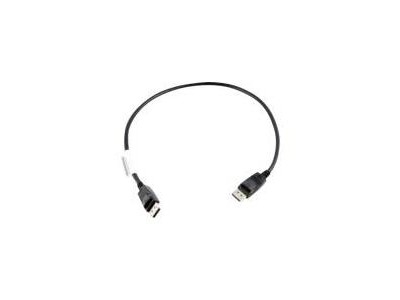 Lenovo - DisplayPort-Kabel - DisplayPort (M)