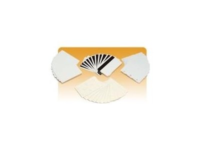 Zebra Color - PVC Karte -