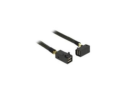DeLOCK - Internes SAS-Kabel - SAS