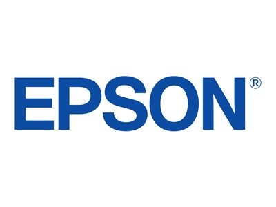 Epson T6112 - Druckerpatrone - 1