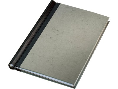 LEITZ Klemmbinder, DIN A4, Deckel grau