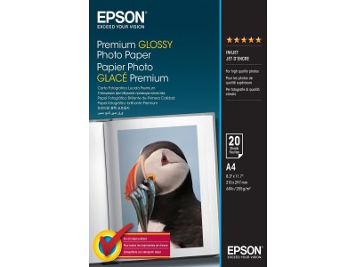 Epson Premium - Fotopapier - glossy