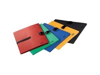 ELBA Dokumentenmappe CLIP`N GO, DIN A4