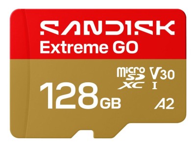 SANDISK BY WESTERN DIGITAL   MEMORY MICRO
