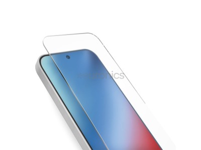 SBS Guard Glass, Google Pixel 9/9