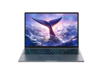 BlackView GamiBook 8, 16``, WUXGA, Ryzen