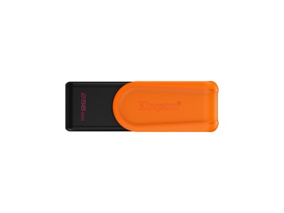 Kingston Technology DataTraveler 256GB Portable USB