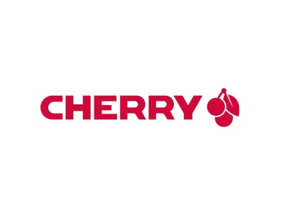 CHERRY DW 3000 keyboard Mouse included
