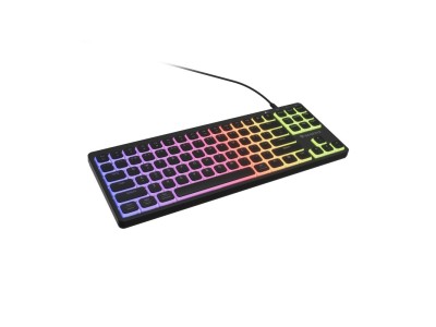 GENESIS Thor 430 TKL keyboard Gaming