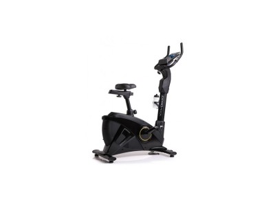 ZIPRO Rook Gold Magnetic bicycle trainer