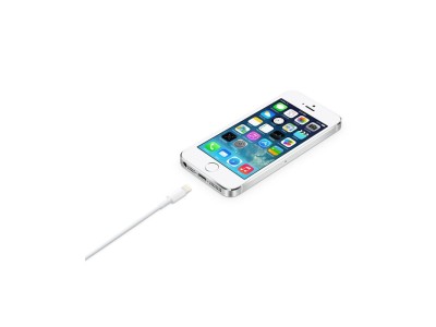 Apple Lightning to USB Cable (2