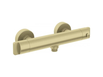Thermostatic shower faucet